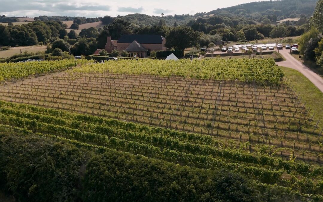 Beautiful Devon wedding venue captured with cinematic drone footage